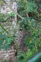 Thumbs/tn_Vakantie 2023 022.jpg